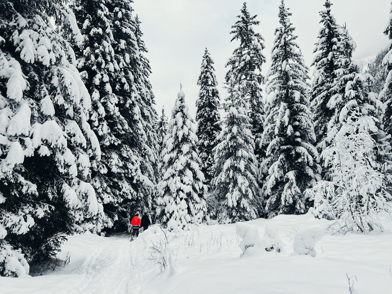 chantier tour adria corelo paris